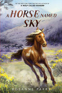 Image for "A Horse Named Sky"