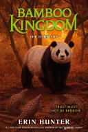 Image for "Bamboo Kingdom #4: The Dark Sun"