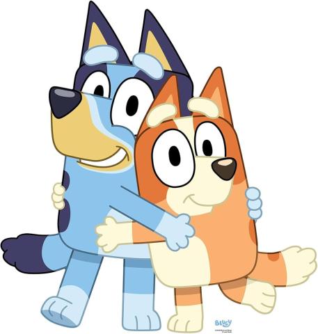 Bluey and Bingo