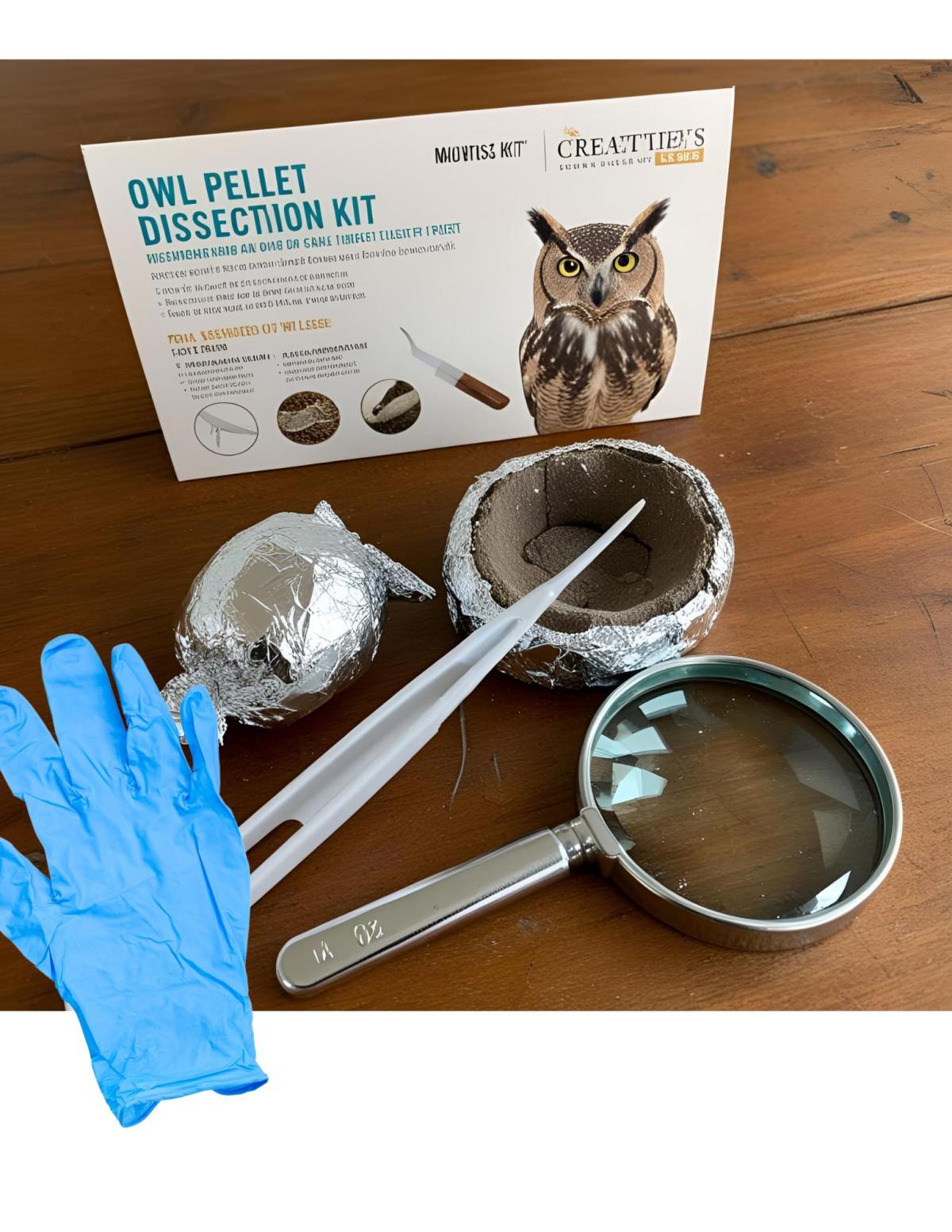 Owl Pellet Kit